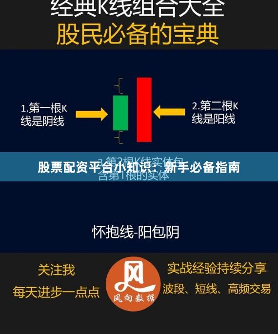股票配资平台小知识：新手必备指南