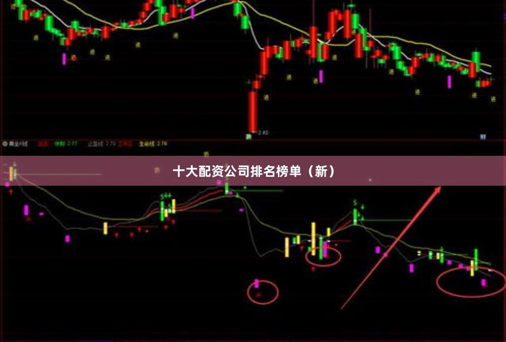十大配资公司排名榜单（新）